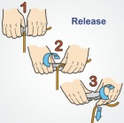 cl262 release